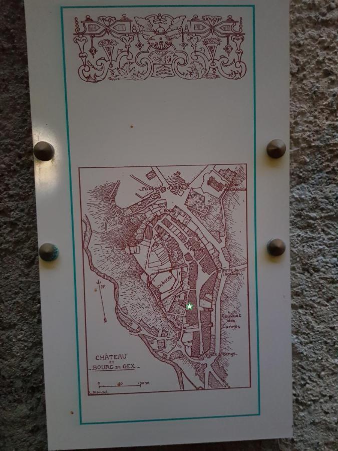 Hebergeneve : Aux Pieds Du Chateau Gex Eksteriør bilde