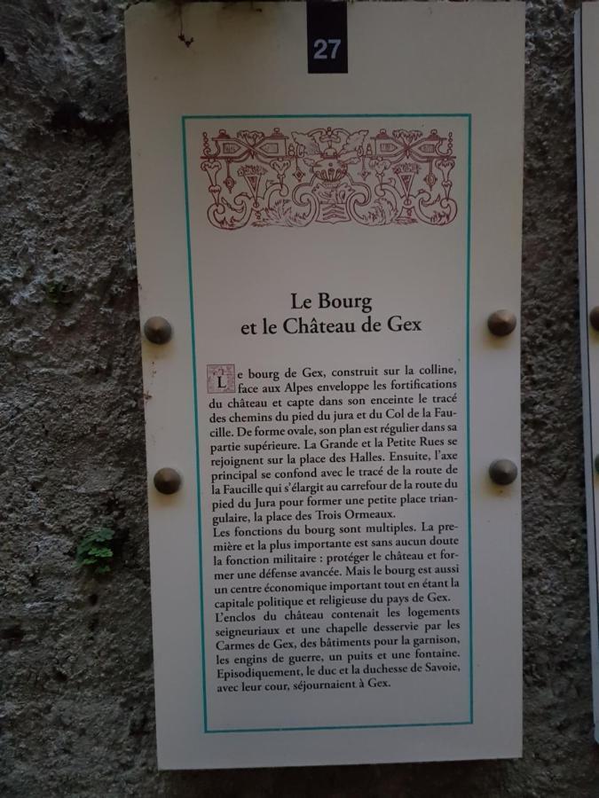 Hebergeneve : Aux Pieds Du Chateau Gex Eksteriør bilde